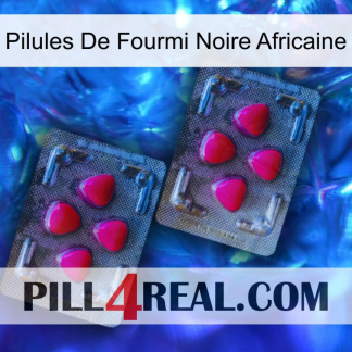 African Black Ant Pills 14